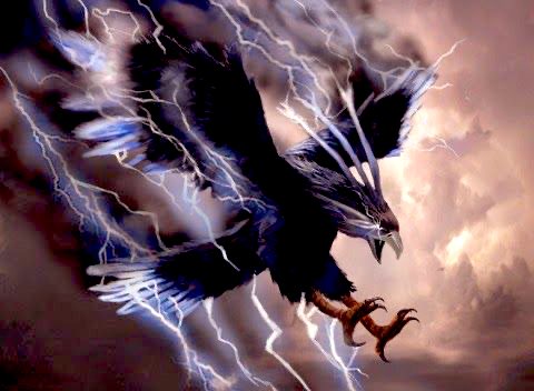 FauxCoachWoodard tweet media