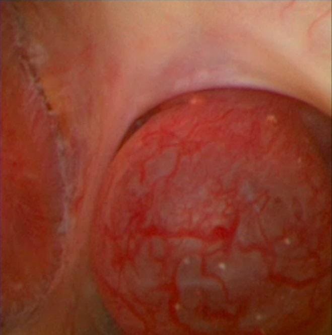 Guido Giusti tweet media