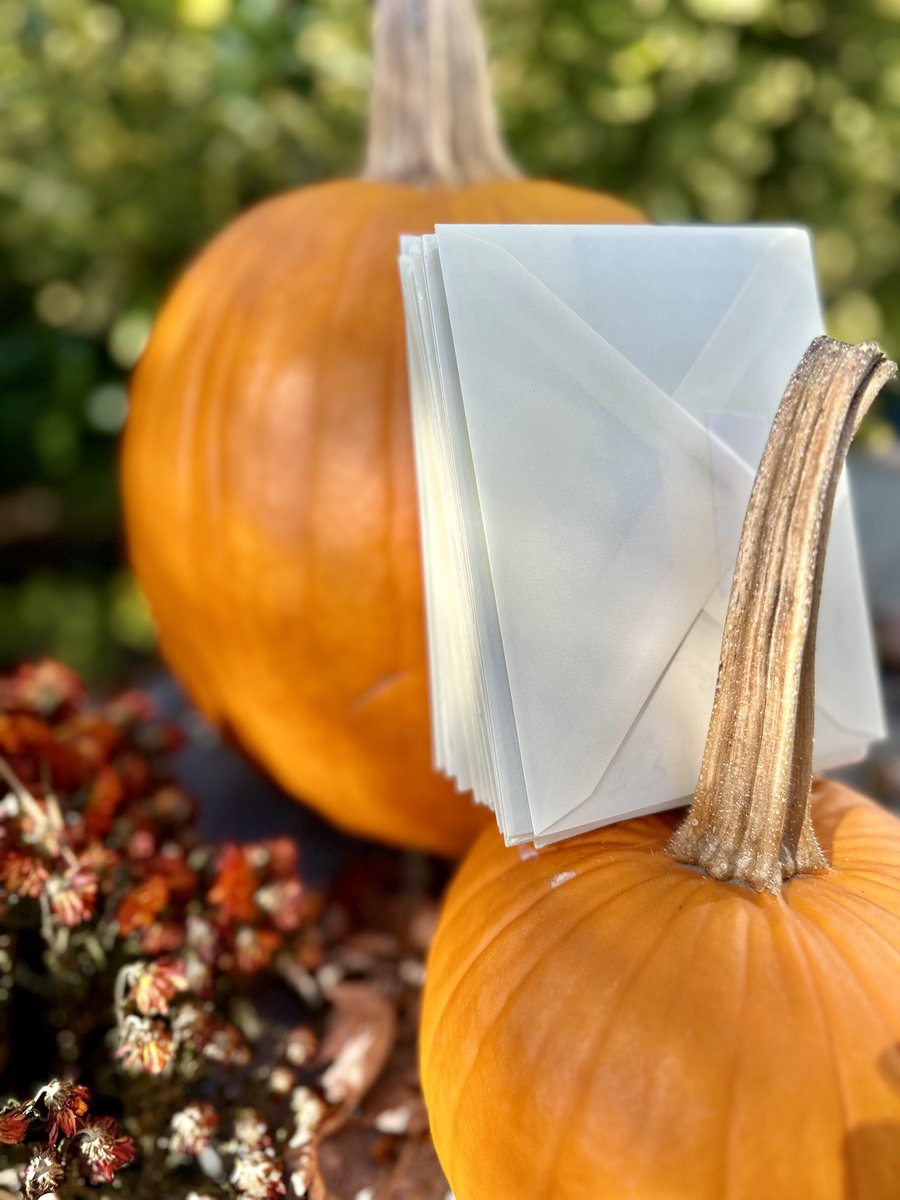 Muneris's tweet photo. November marks the start of our weekly gratitude tradition! This week, we're thankful for our October clients. We send heartfelt thank-you cards every month to show our appreciation. Your trust and referrals mean the world! Join us using #munerisgivesthanks https://t.co/URTIEhJvj7