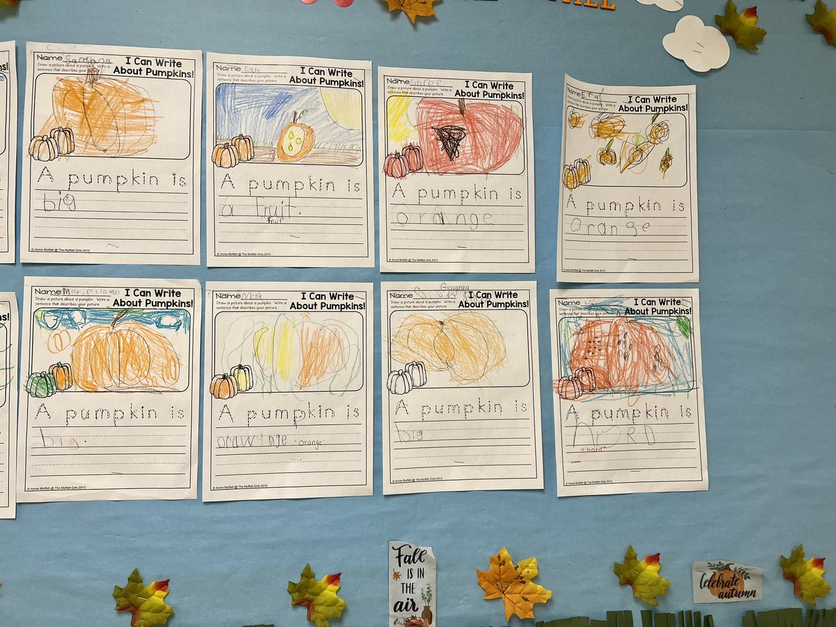 Shoutout to our class assistant Ms. Penny for putting together our awesome fall bulletin board! 🍂🍃🎃