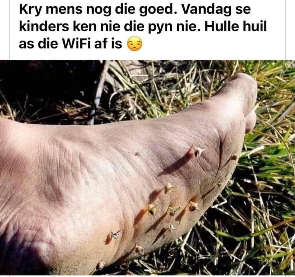 4KobusWiese's tweet photo. https://t.co/rIsJ79s6BS