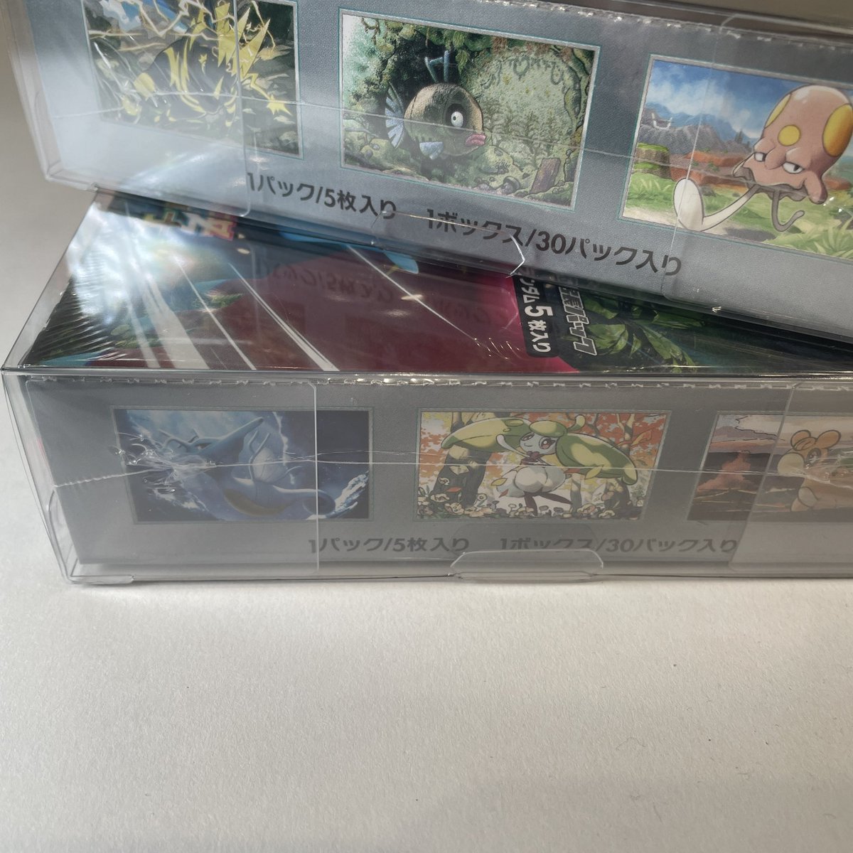 Xrypto （クリプト）日本国内製造 コレクター・店舗共同開発 BOX