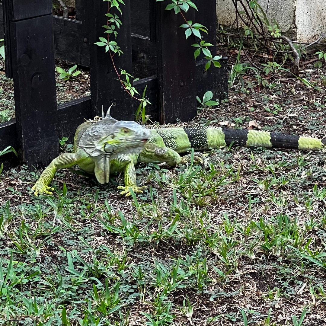 CCPEvents's tweet image. Making new friends is a conference planner perk 😂!  bit.ly/CCPEventsandMe… #CancunVibes #ConferencePlanner