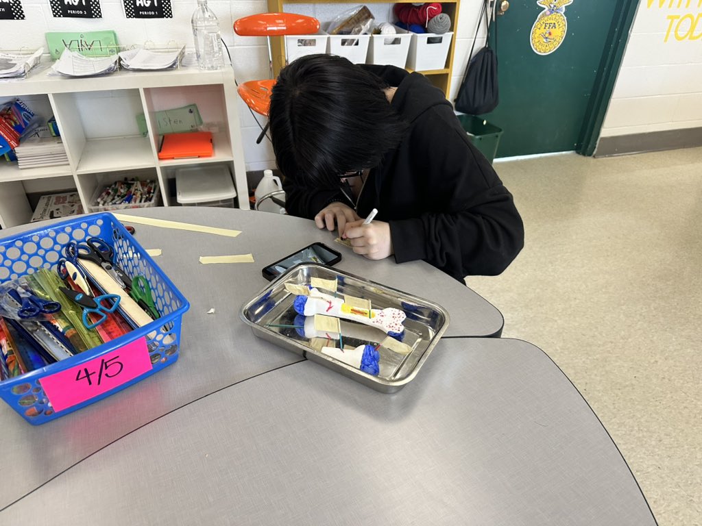 OregonClayFFA's tweet photo. Animal Health Students are learning about how bones complete different processes! They worked on their surgical skills using scalpels  to craft long bones out of styrofoam along with the different parts inside the bones. #Agisscience https://t.co/S3oSOz54VM