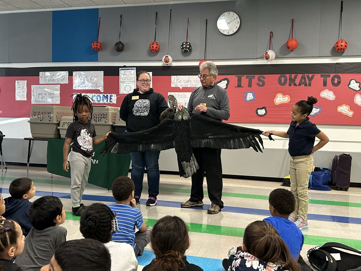 Wanda Labrador tweet media