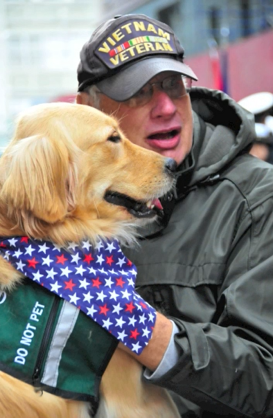 ECADServiceDogs's tweet image. When asked why  support #ProjectHEAL, 2x #ECADGrad &amp;amp; Vietnam Vet, Ralph says, &quot;Because it saved my life. And that’s the truth.” ❤️ To learn about the impact of #ServiceDogs on veterans, watch @To Be of Service NOW RE-AIRING! aptonline.org/offer/TO-BE-OF… #ToBeOfService #veteransday