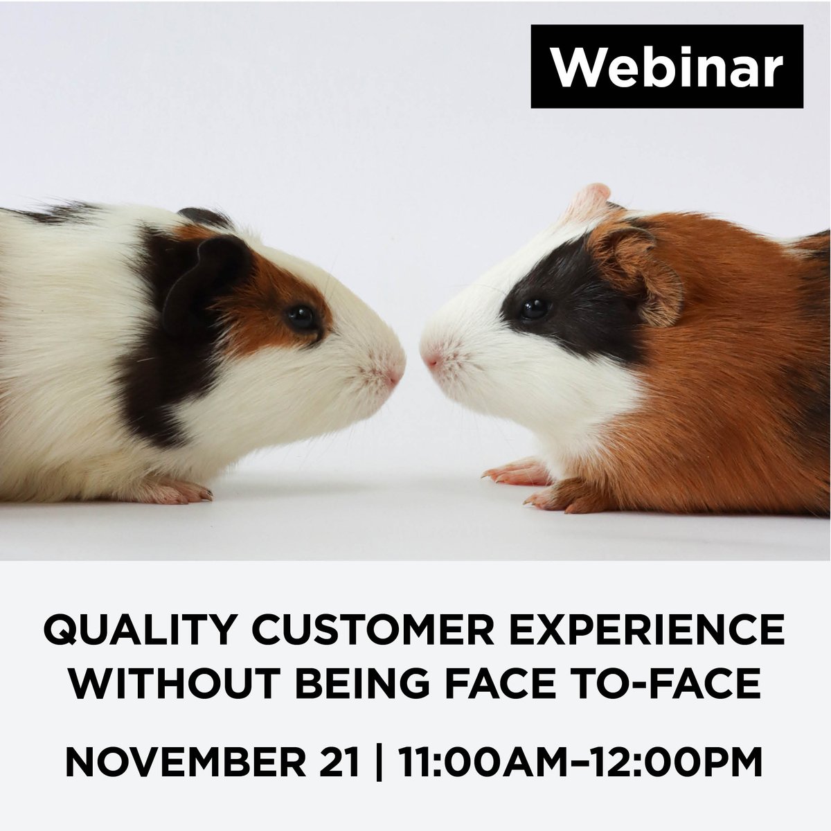 Don’t let remote client interactions feel impersonal 🫥 🫥 🫥 Learn to improve the quality of customer experience when there isn’t face-to-face interaction with your clients.

bit.ly/3taMAbW

#OntarioBrokers #Insurance #Cyber #Education #webinar