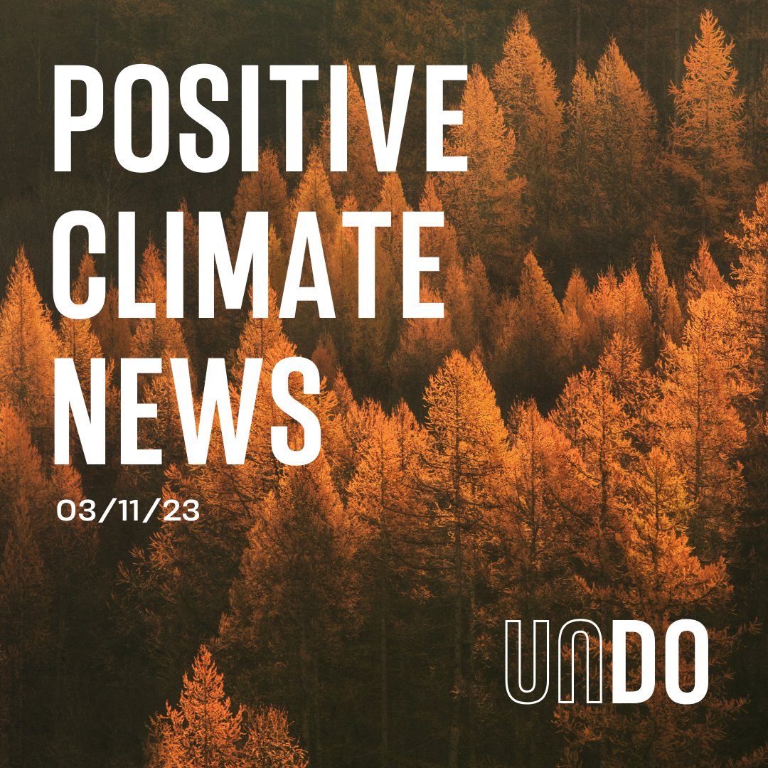 undocarbon's tweet image. Hello November! 🍂 Celebrating some lovely positive news stories from the past week ↓ 💚

#UNDOCarbon #ClimateNews #GoodNews #Sustainability #NatureNews #PositiveNews #ClimateChange #ClimateAction