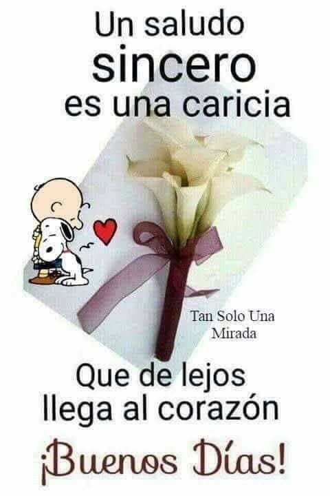 Buenos días atod@s excelente jueves. 🌎
