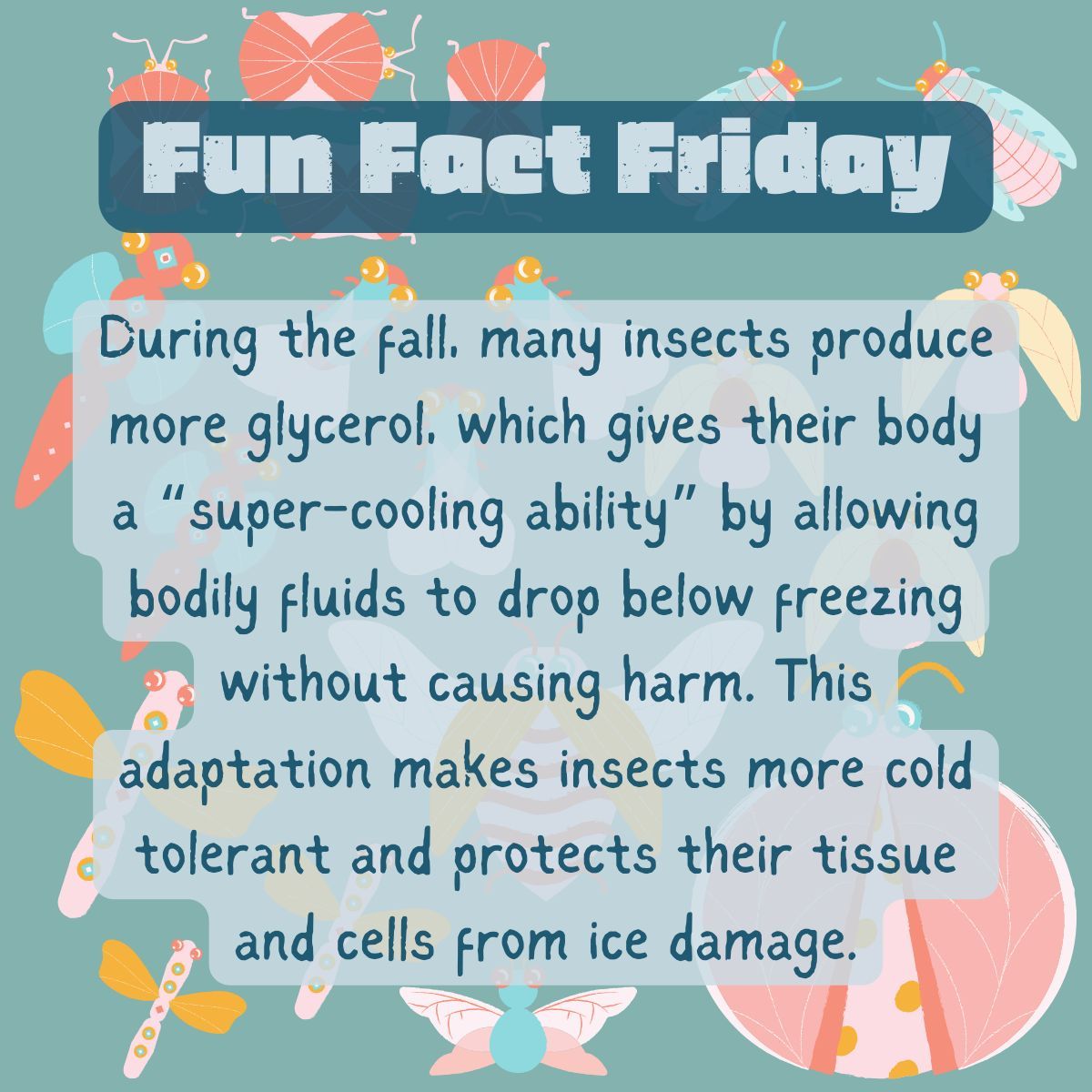MiraCostaSTEMLC's tweet photo. The world's creepy crawlies have some amazing adaptations! 🦋 🐜 🦗 🦂  Check out today's #FunFactFriday to find out how insects "winterize" themselves! 😯 #MiraCostaSTEMLC https://t.co/8zYpM4e9XT