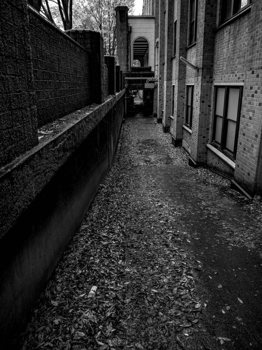 aochanmor's tweet image. 弥生キャンパスの農食も結構美味しい。

#弥生キャンパス #OLYMPUS #EM5 #LeiacaDG_Summilux15mmf17 #東京大学 #農学部 #monochrome