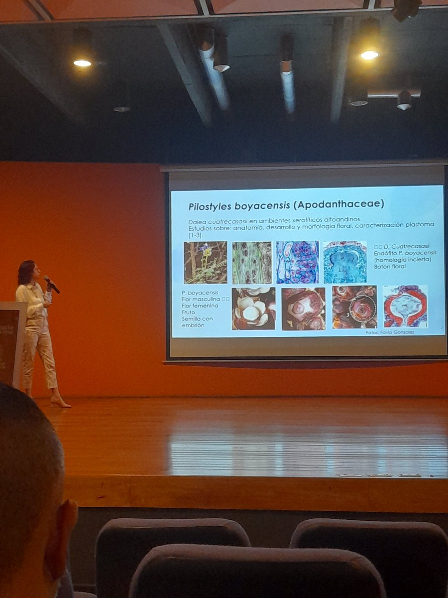 De las cosas más locas que he aprendido durante el <a href="/CcbdUdea/">Congreso Colombiano Biología Desarrollo</a> es esta planta, Pilostyles boyacensis.
Una planta parásita que solo desarrolla flores y frutos.
Hoy, Angie Gonzalez nos cuenta sobre la evolución de los genes de esta planta.
#ColSDB