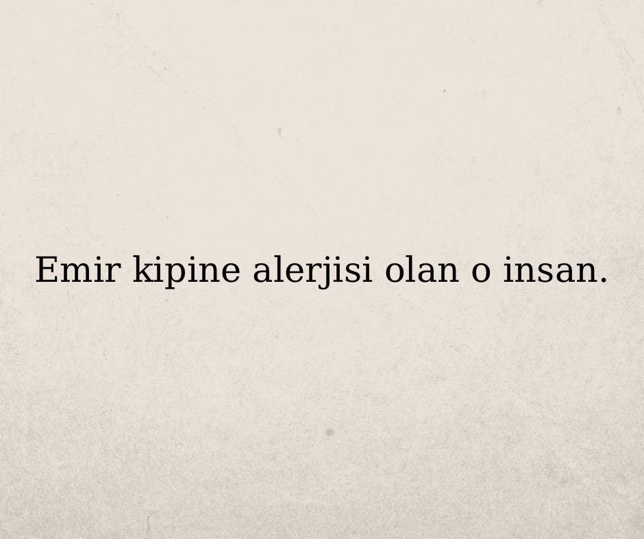 Oğlak; Emir kipiyle nefes al deseler almam.