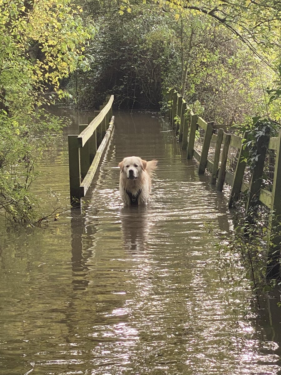 Water dogs heaven, me....not so much!