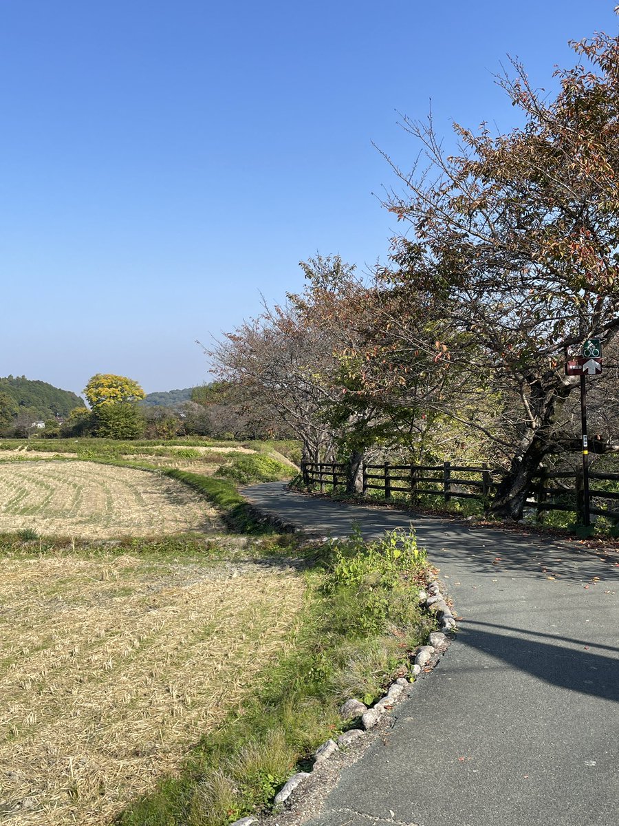 おはようございます。 私のいつもの散歩道もすっかり秋色に染まっています。