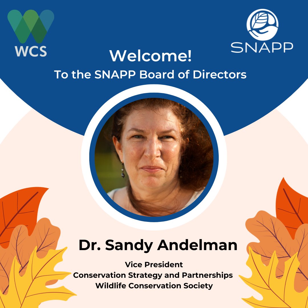 SNAPP is thrilled to welcome Dr. Sandy Andelman as the newest member of our Board of Directors! Sandy joins SNAPP as the VP of Conservation Strategy and Partnerships for @TheWCS , a founding SNAPP partner, as well as a trustee on the board of @JRSBiodiversity . Welcome Sandy!