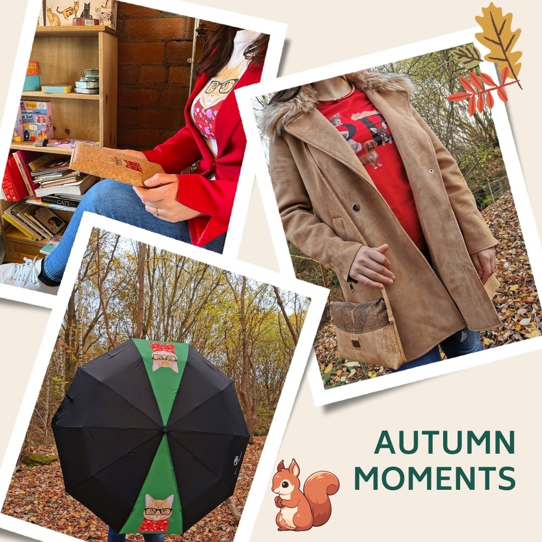 Autumn moments🍂

#AutumnVibes #Christmas2023 #cats