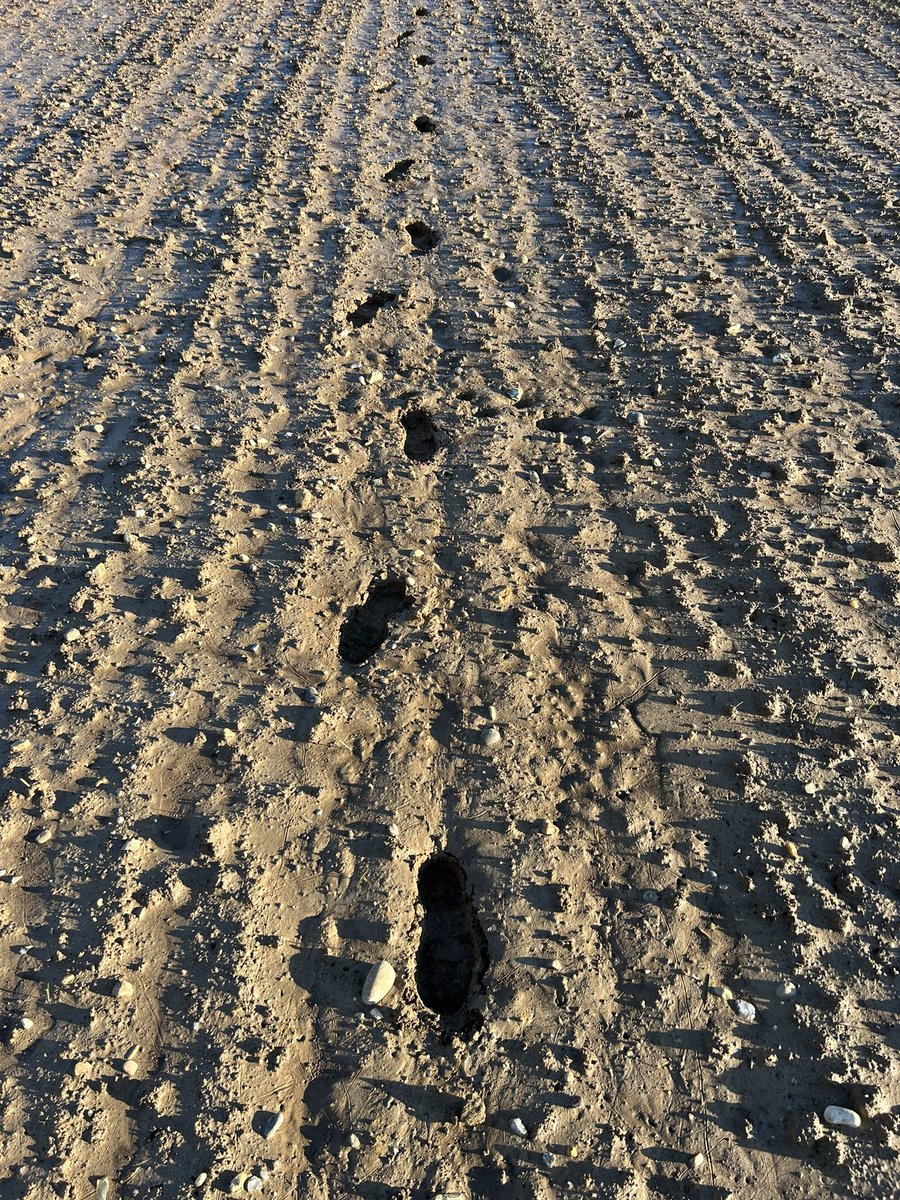 Ed blake tweet media