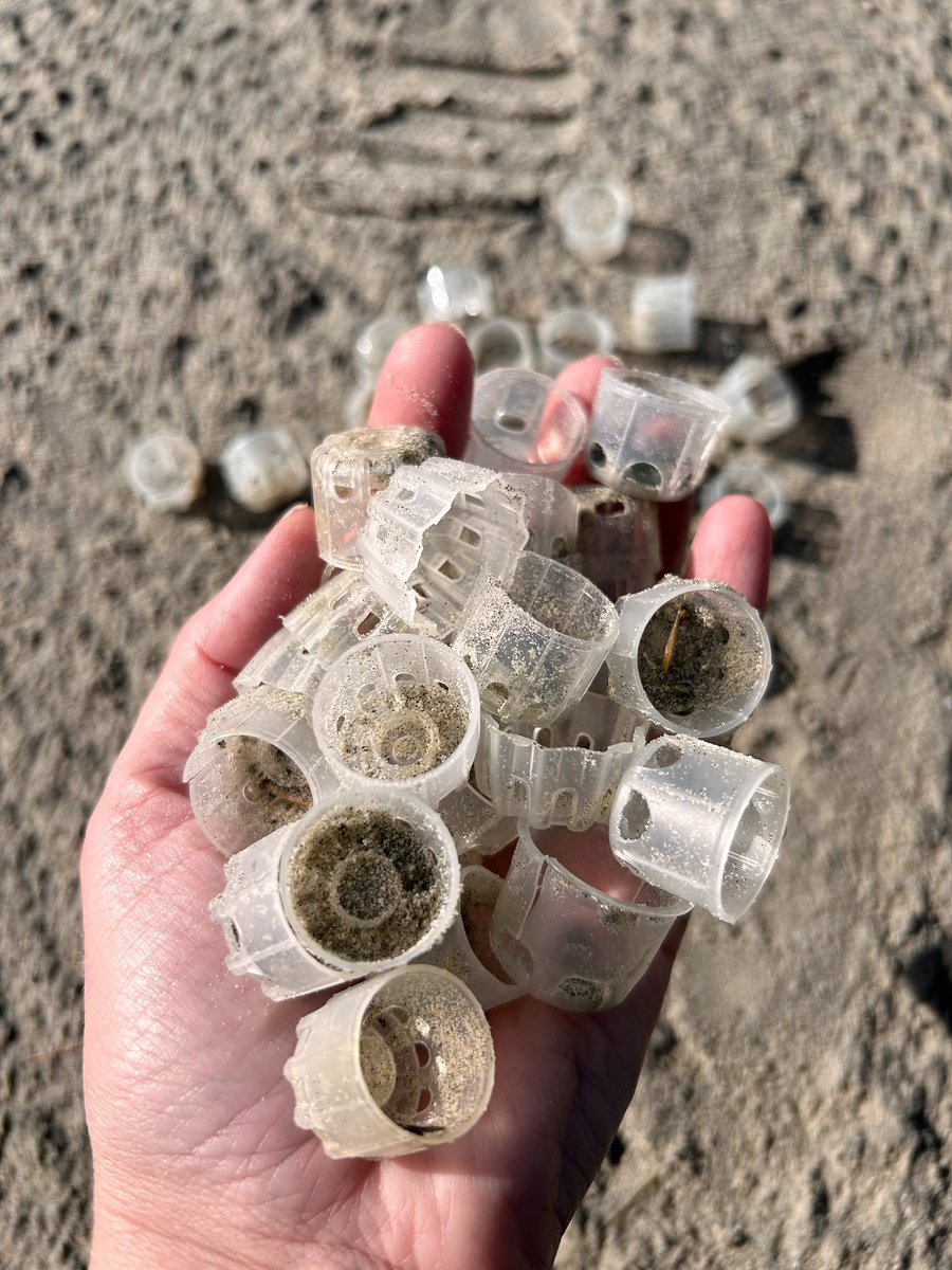 So many bottle lids picked up on todays beach clean… #2minutebeachclean @2minuteHQ