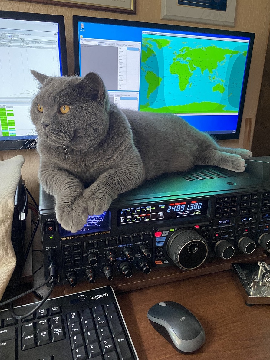 JackyPierre_RO's tweet image. #OneWorldOneLanguage #RadioAmateur #AmateurRadio #SWL
Eugene (YL2TD) presents to us its the cat Nyusha, (YL1CAT😍)
Riga, Lettonie. 🇱🇻