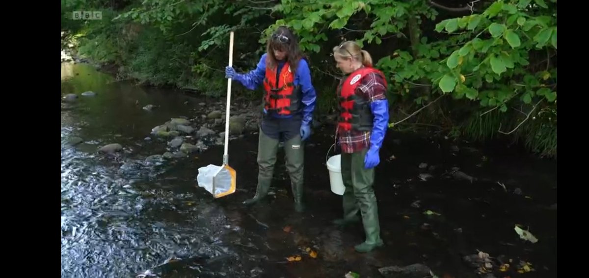 alliballibee21's tweet image. Fantastic piece on last night's episode of #BBCLandward  about the tireless work of @BeckL76388162 in her role as a RIVER GUARDIAN with @BuglifeScotland and volunteers keeping our rivers alive.