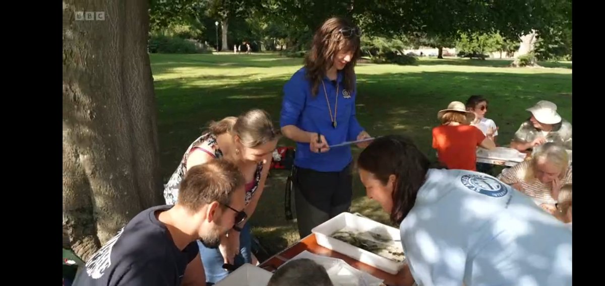 alliballibee21's tweet image. Fantastic piece on last night's episode of #BBCLandward  about the tireless work of @BeckL76388162 in her role as a RIVER GUARDIAN with @BuglifeScotland and volunteers keeping our rivers alive.