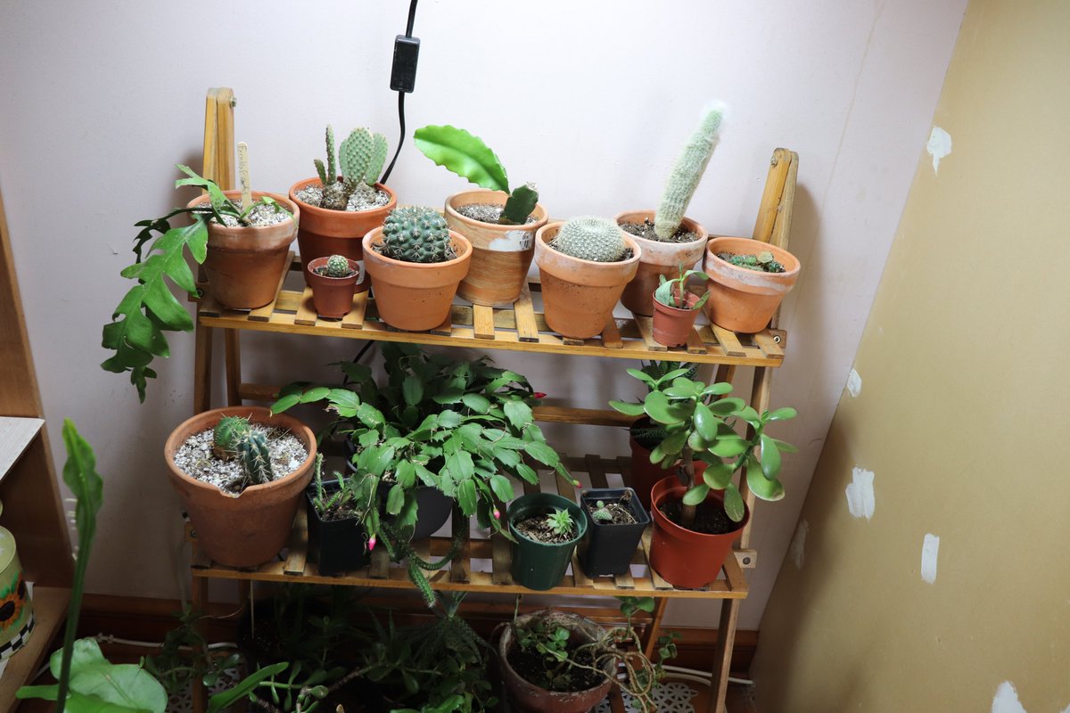 Ryan Evans tweet media