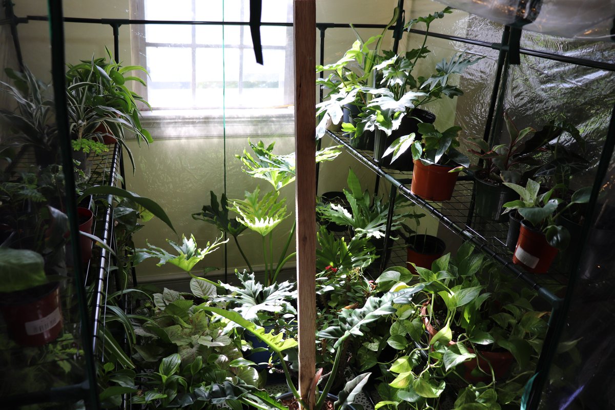 Ryan Evans tweet media