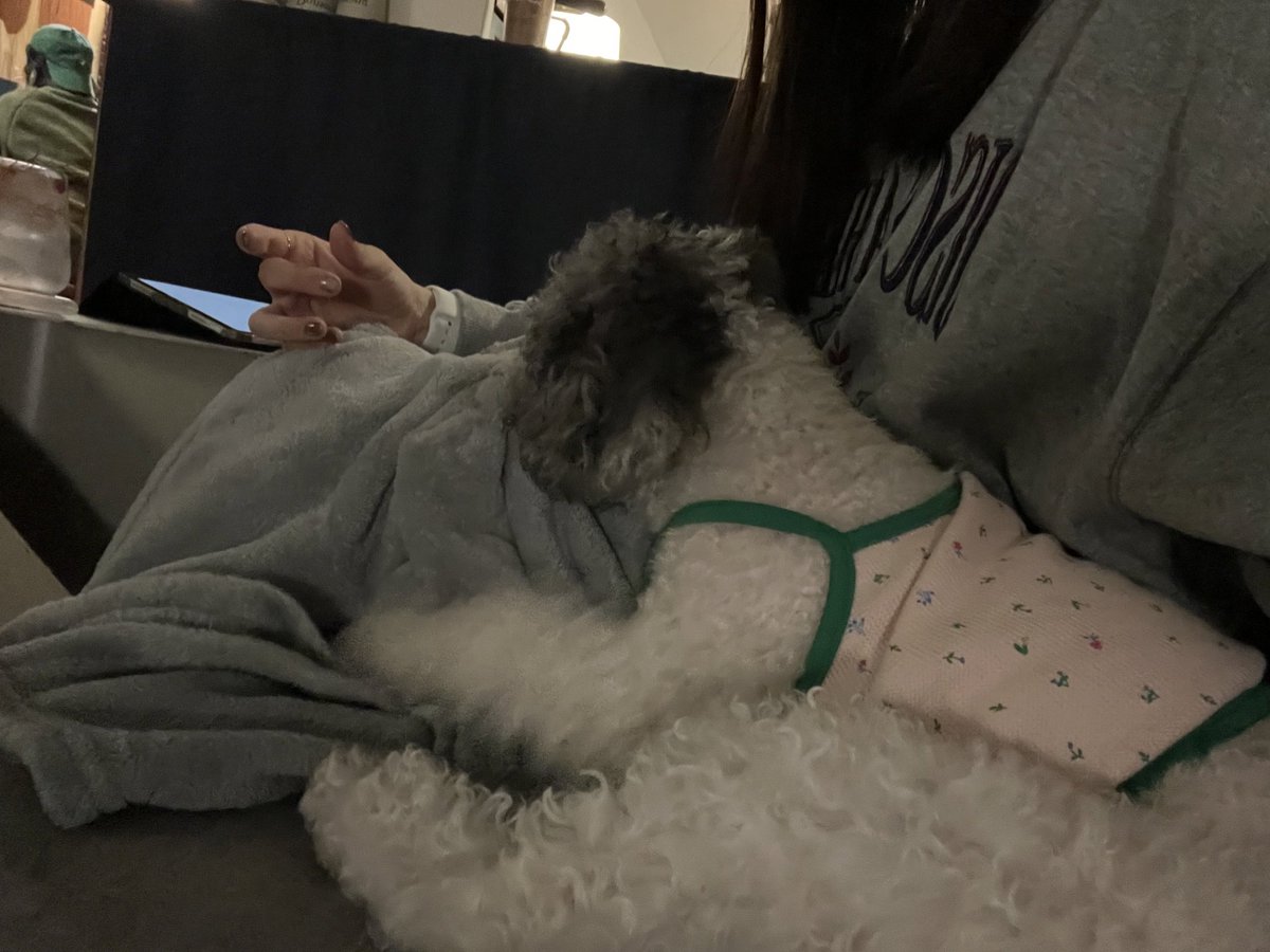 fldzh2022's tweet photo. 📍카페 도망 (カフェ トマン)
✔︎火曜日定休日
✔︎1号線フェギ(回基)駅から徒歩 約10分🚶🏻🚶🏻‍♀️
ソウル市立大学、キョンヒ大学からもそこまで遠くないと思います！
インスタ：@our_domang
https://t.co/zquHpNfa71…

NAVERマップ：トマン
서울 동대문구 망우로6길 3 1층
https://t.co/UfRzvqL26l https://t.co/9OR4GgKUSS