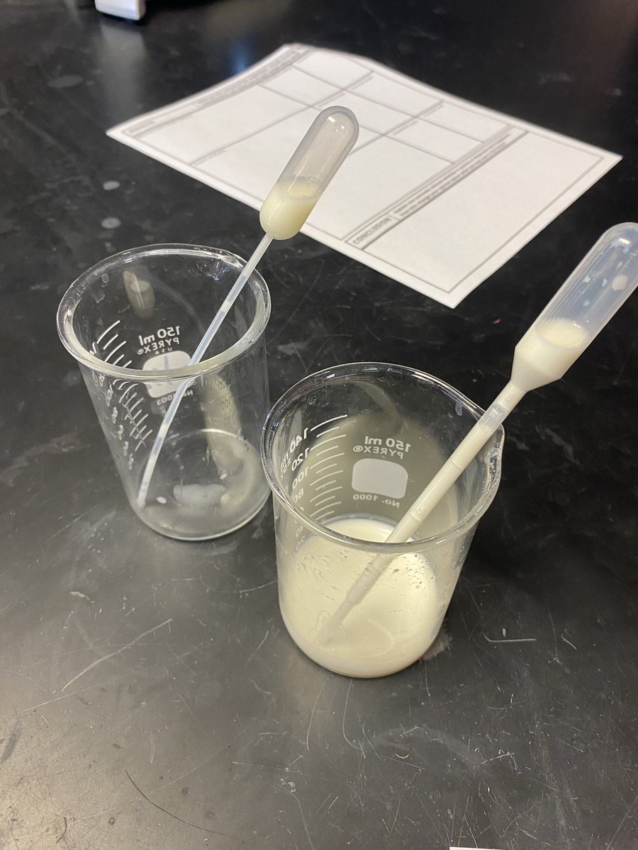 MsSaundersFCS's tweet photo. Breastmilk vs Formula Lab today in Child Development 🍼 

A HUGE THANK YOU to the Worthington Kilbourne Science Department for teaching students how to utilize microscopes and allowing students to borrow their rooms

#itsworthit #wkhsfcs #gowolves https://t.co/OhM6fkJJWm