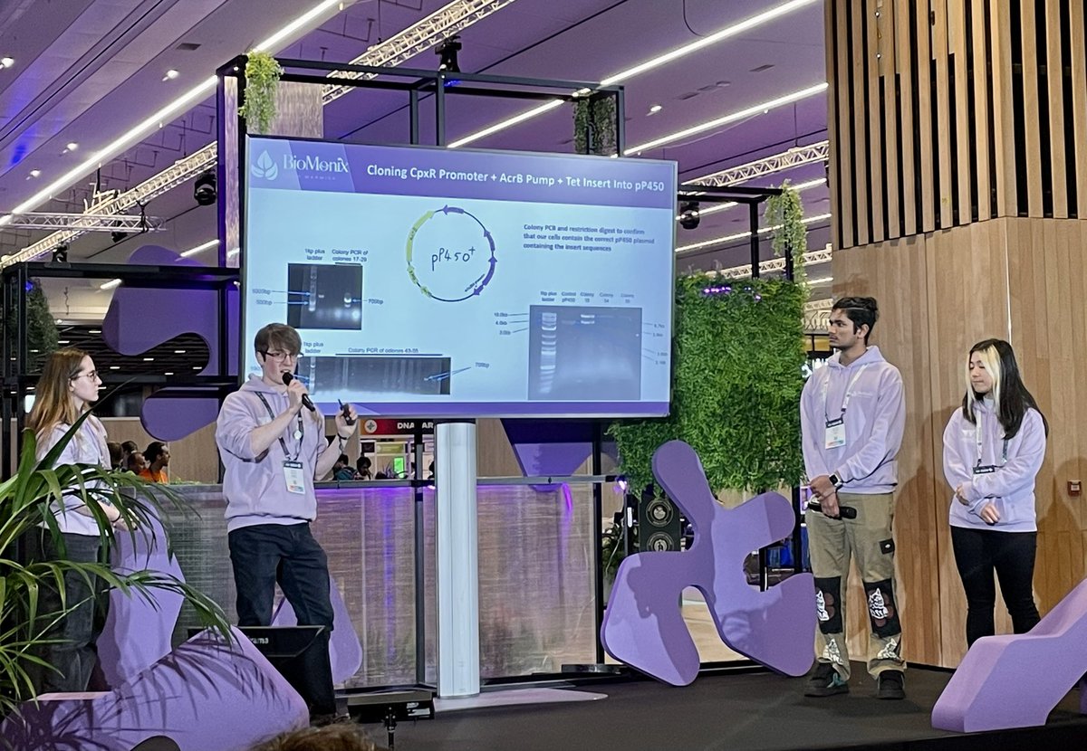 Fabrizio Alberti tweet media