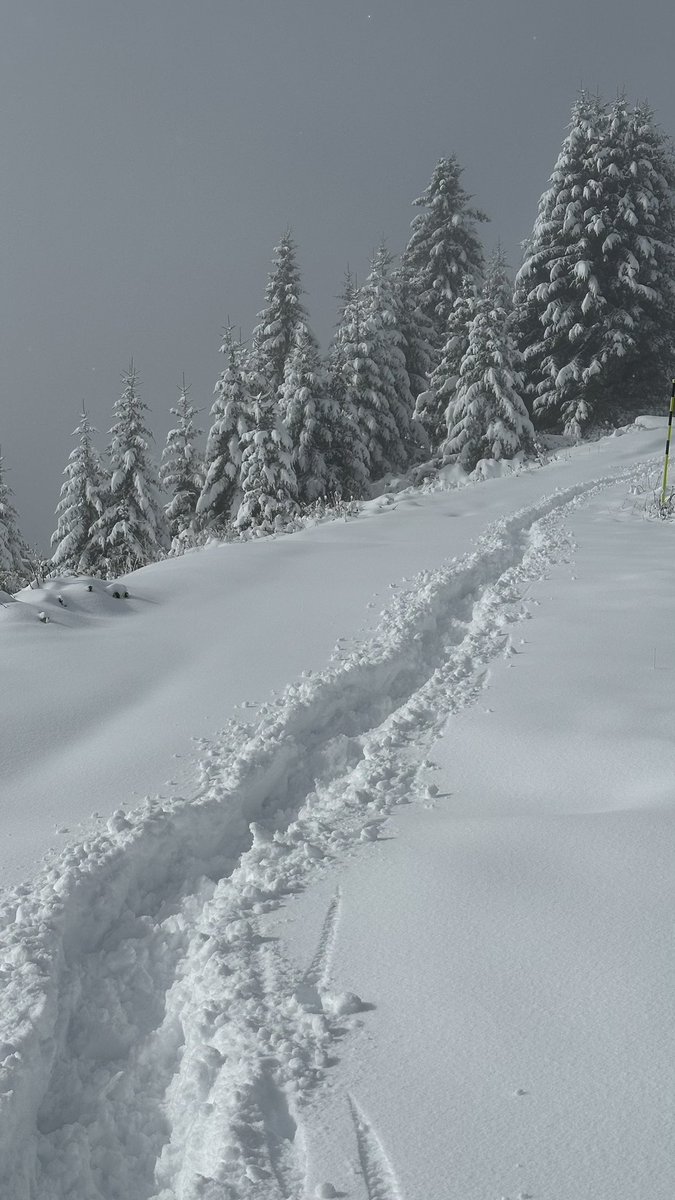 brommers2104's tweet photo. @LUFC Morzine, French Alps https://t.co/7xZ0ufjmwd