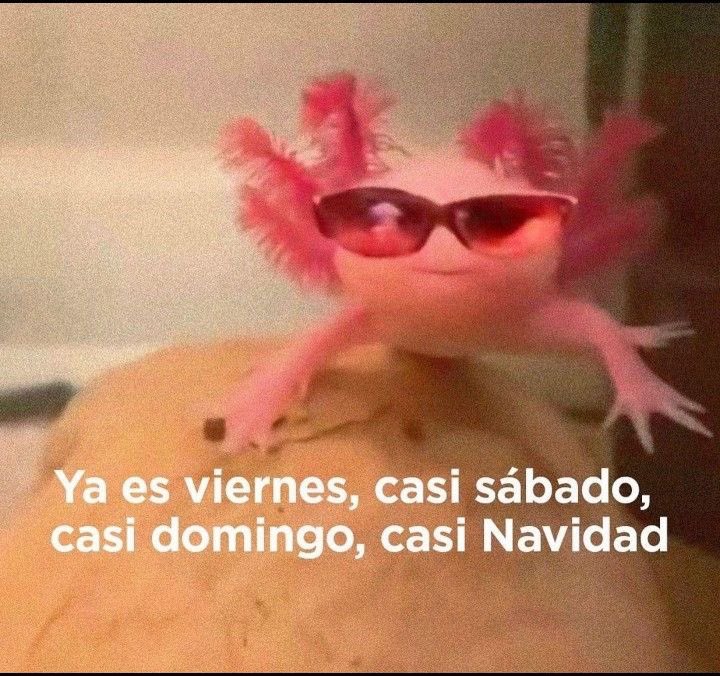 tenis_360's tweet photo. Ya se va a acabar el año 🤡#PoderosoNaranja #LaFiestaGrandeDeMiTierra #FelizViernes https://t.co/vPwmIlrlPt