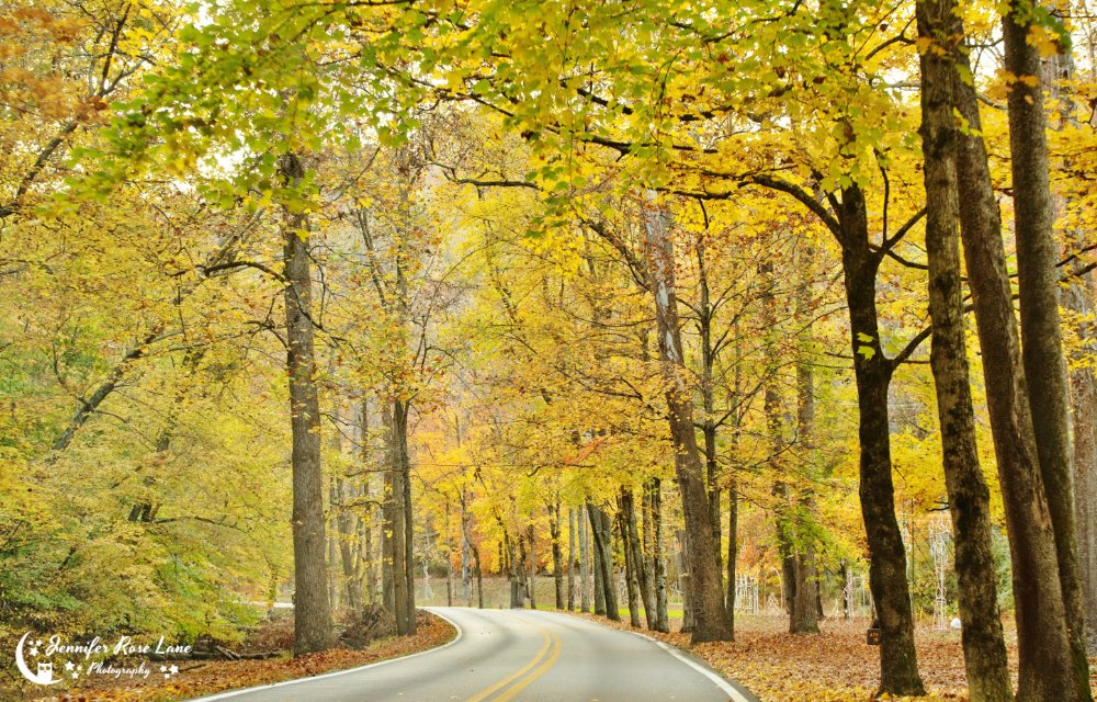 Jens_Starry_Sky's tweet photo. Chief Logan State Park  last weekend🍁🍂 #Fall #Autumn #WV #FallinWV #WVStateParks #AlmostHeaven @StormHour @ThePhotoHour @WSAZBrandon @SpencerWeather @JoshFitzWx https://t.co/tHX0bVDYIU