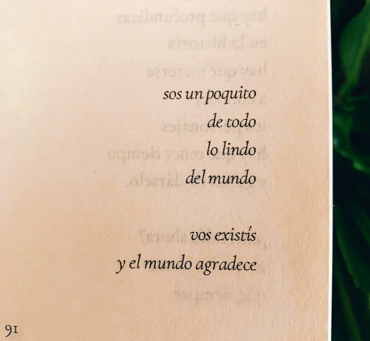 Cementerio De Libros tweet media