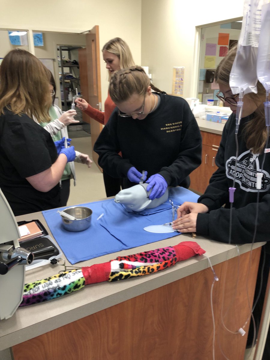 Students in Vet worked on drawing blood samples this afternoon. #MECTC #VetAssisting