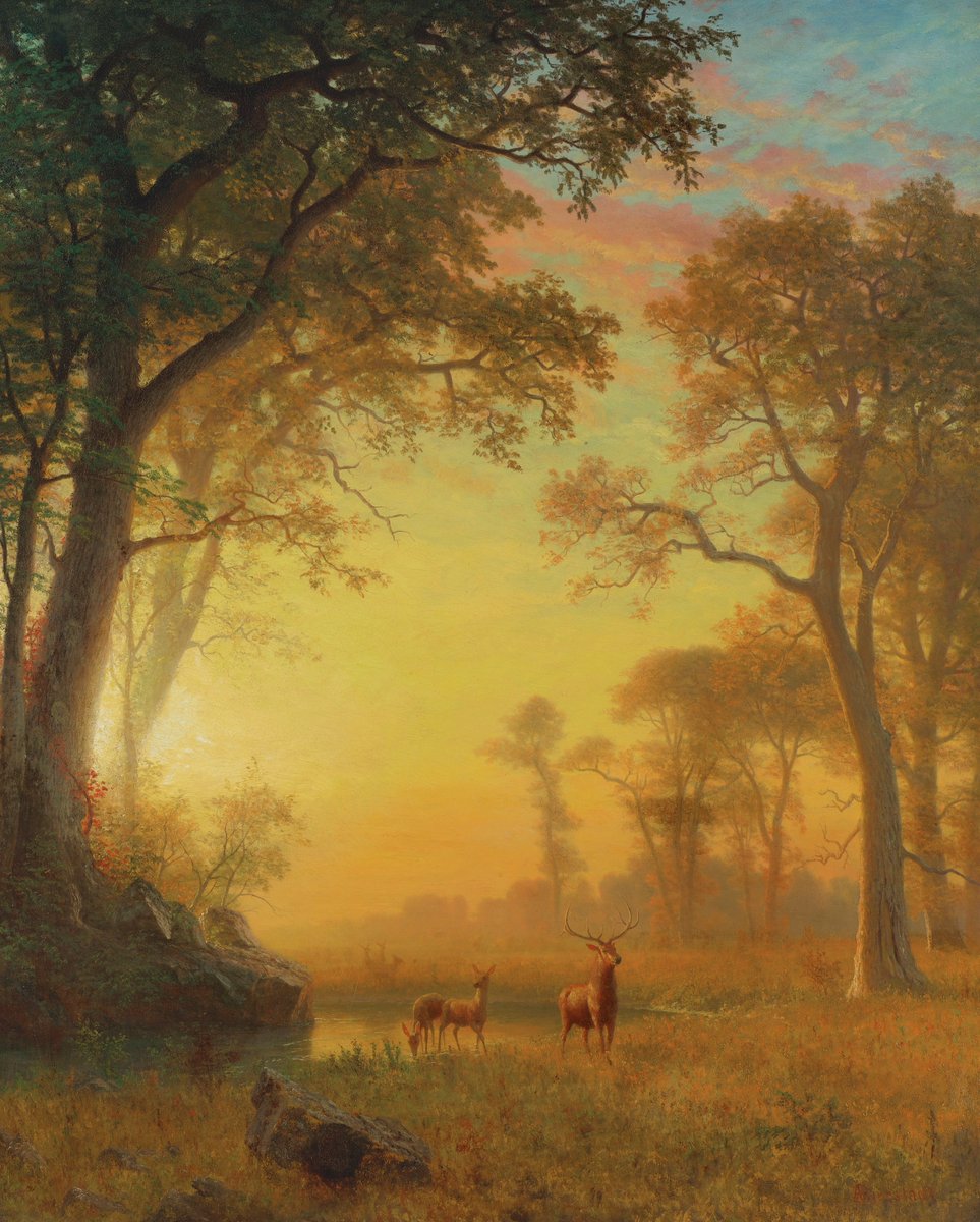 Light In The Forest by Albert Bierstadt, 1870s.
#albertbierstadt #deer #landscapes