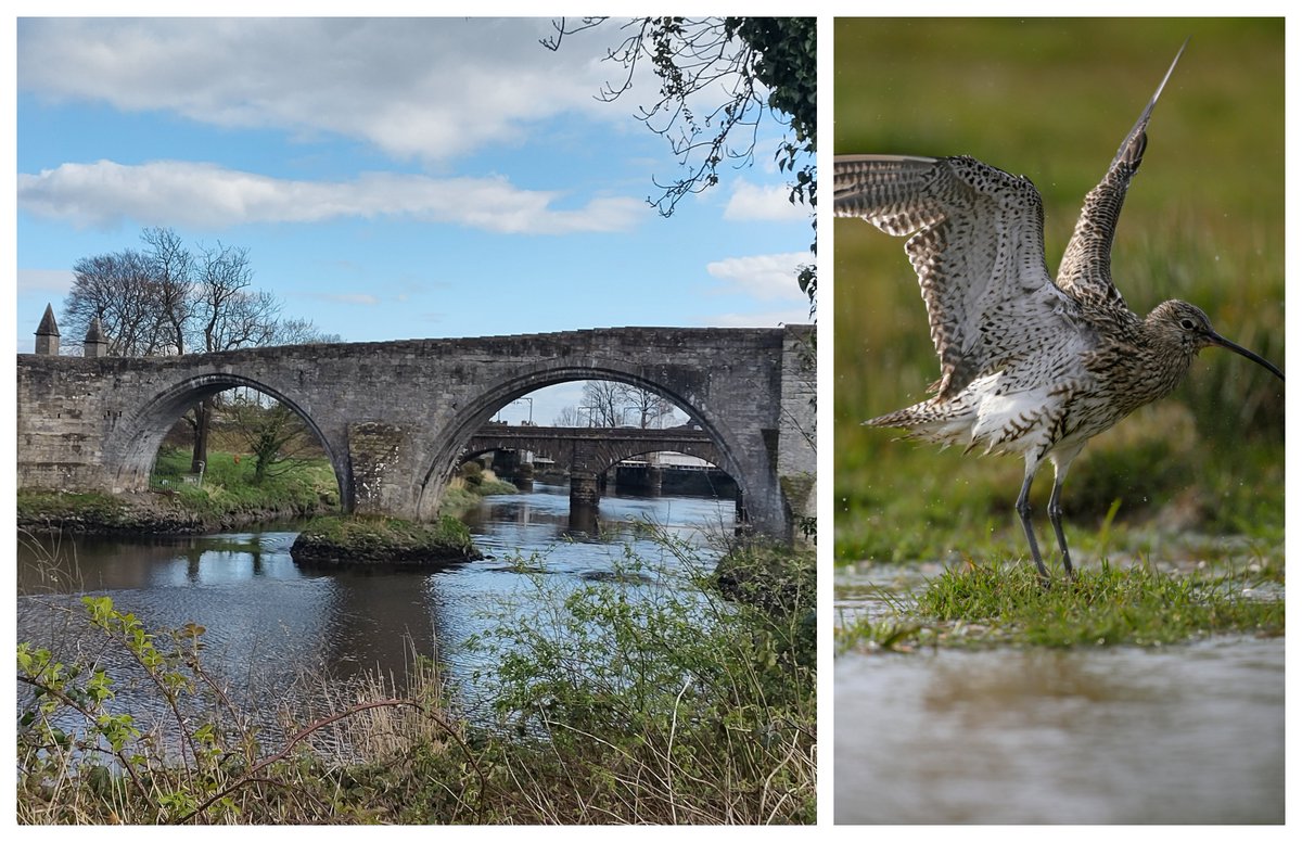 innerforth's tweet image. Becoming climate resilient is integral, as we safeguard natural &amp;amp;historical heritage.  Read about the 5 capacities of climate resiliency: tinyurl.com/e6mkmjv9 &amp;amp; see what’s to come on our exciting Climate FORTH project tinyurl.com/48zu3sar #climateForth @HeritageFundSCO