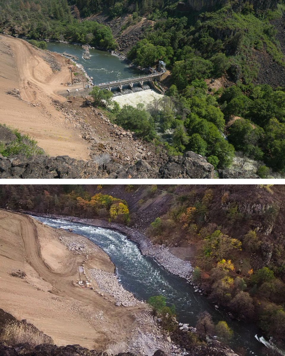Incredible to see before & after photos from the 1st stage of the world's largest #DamRemoval on the #Klamath River. Removal of the diversion #dam will restore flows to the #KlamathRiver canyon for the first time in nearly a century.
Images by Shane Anderson of Swiftwater Films