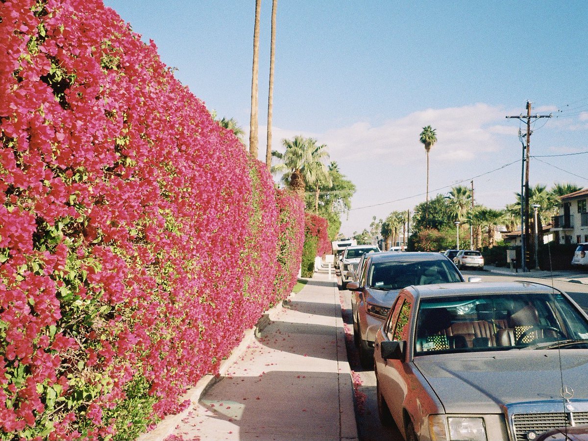 35mmfilmslides tweet media