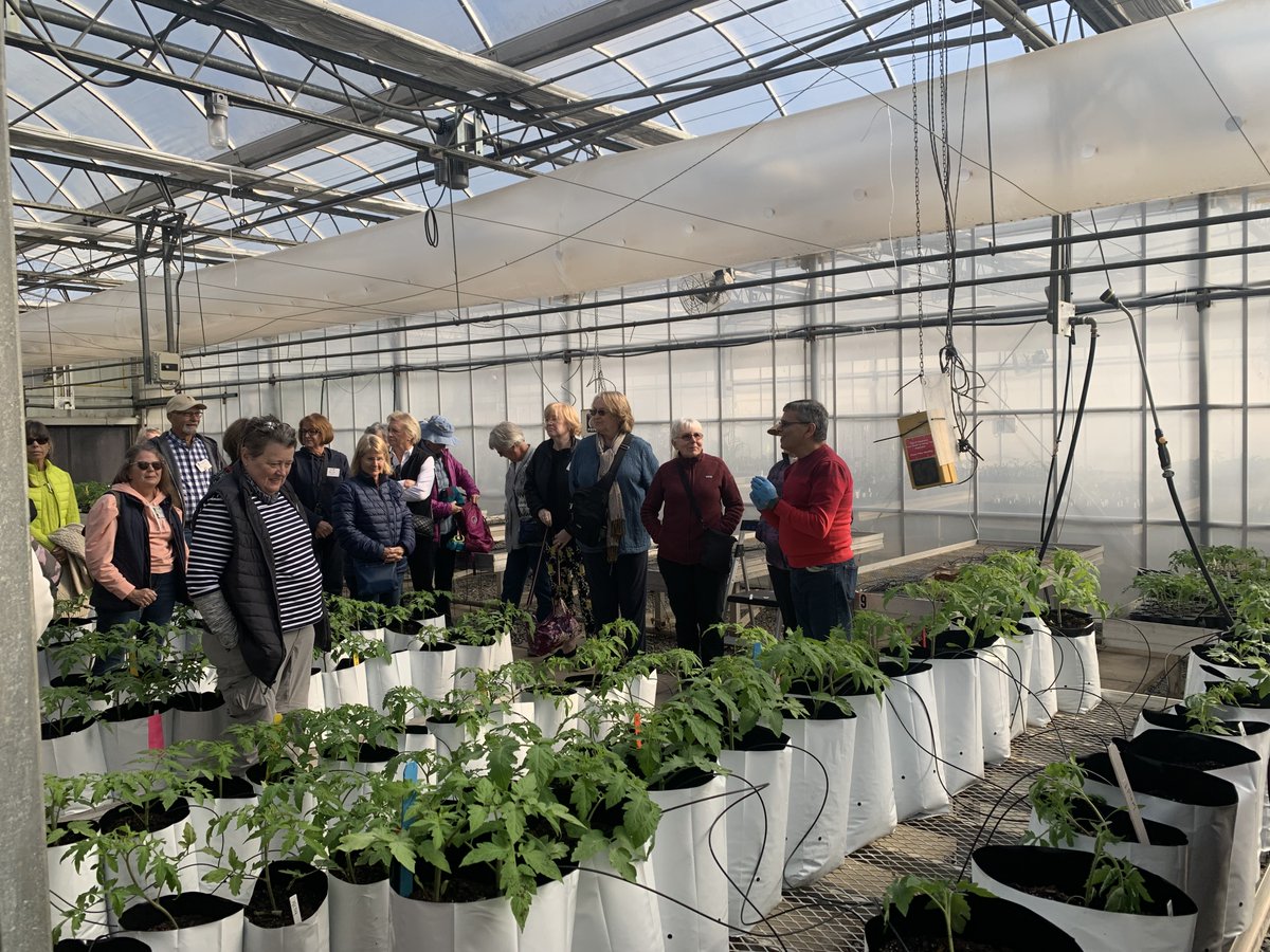 NCSUtomato's tweet photo. Thanks for the visit Greenville County South Carolina Master Gardeners. We were happy to explain our tomato breeding program! https://t.co/Bcxpq4RvwV