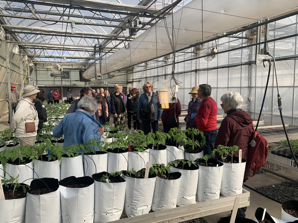 NCSUtomato's tweet photo. Thanks for the visit Greenville County South Carolina Master Gardeners. We were happy to explain our tomato breeding program! https://t.co/Bcxpq4RvwV