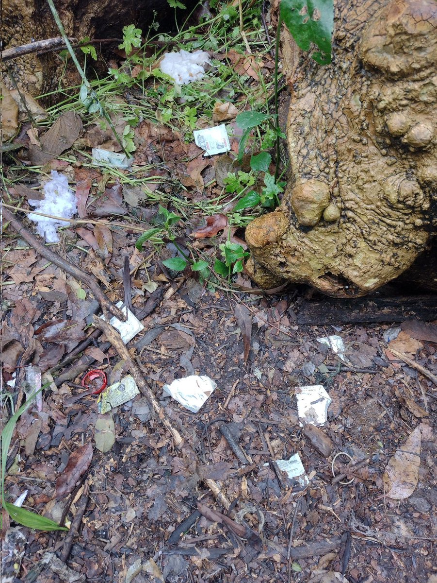 Marcelobi48's tweet image. Una pasadita por el bosque de la plata por avenida 122 parece que hubo mucha acción el que quiera conocer me avisas y está tarde vamos