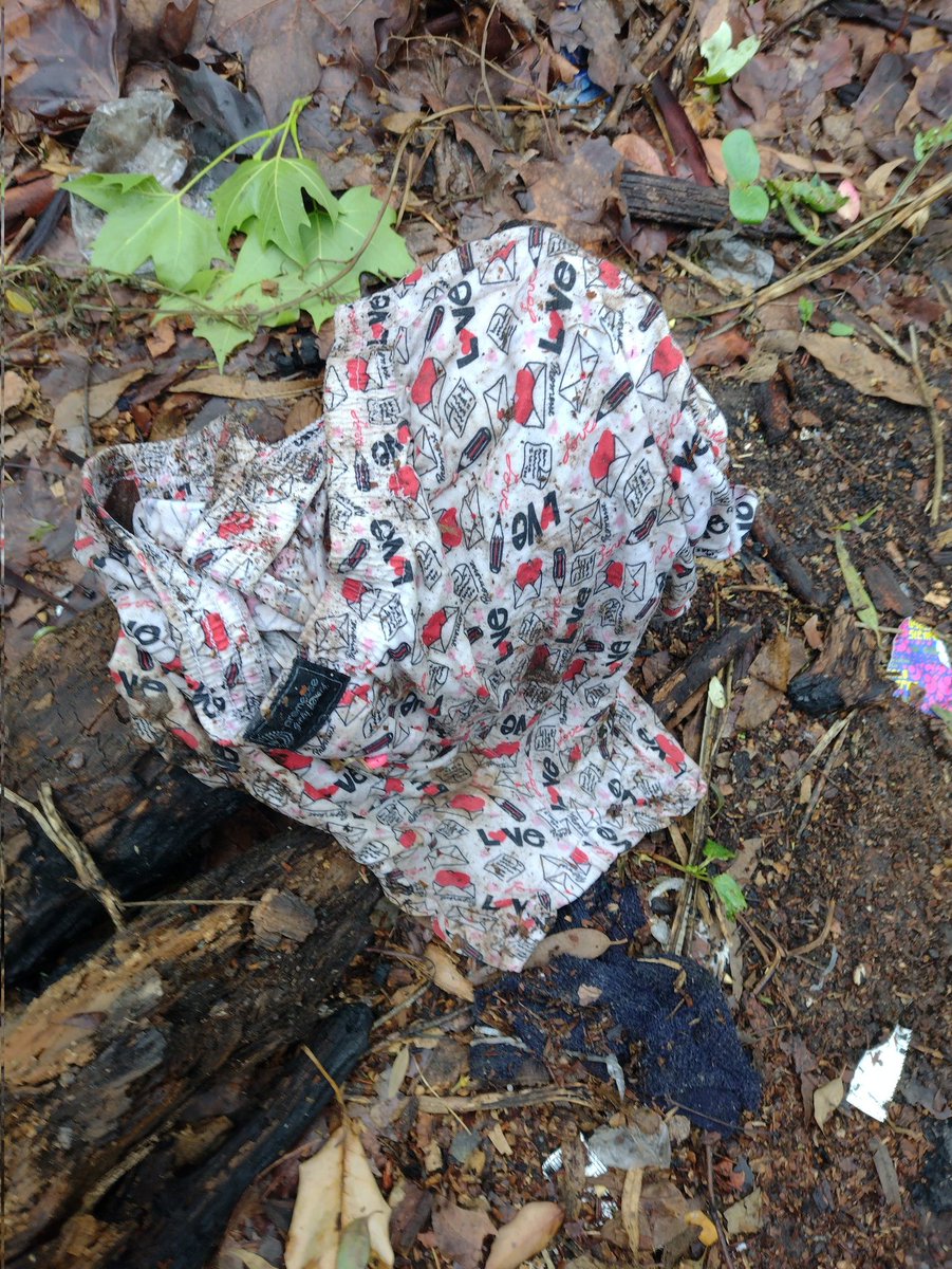 Marcelobi48's tweet image. Una pasadita por el bosque de la plata por avenida 122 parece que hubo mucha acción el que quiera conocer me avisas y está tarde vamos