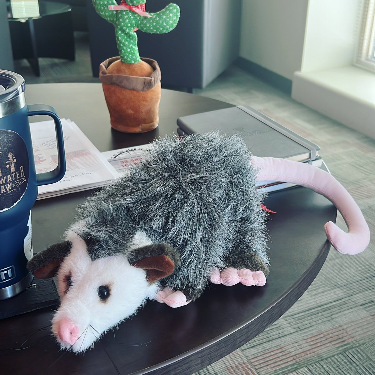 TTU Dean of Students tweet media