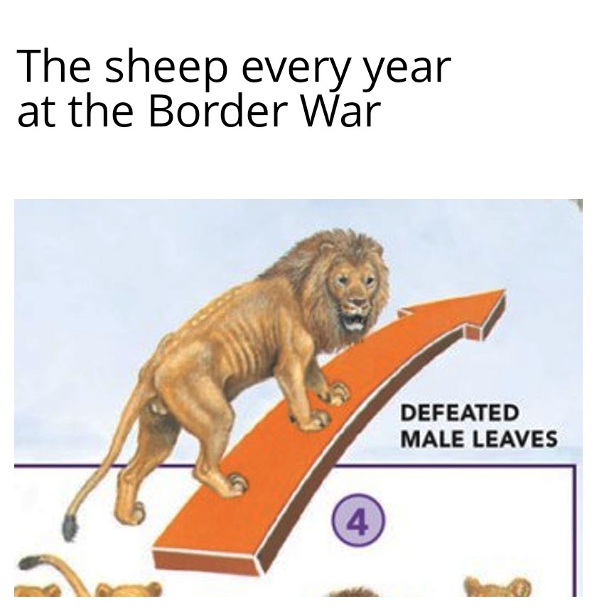 UwSignGuys's tweet photo. Border War memes drop em if you got them! @BarstoolUWYO #Pokes #SucksToBeACSURam #SheepWeek https://t.co/Za7AI1krSa