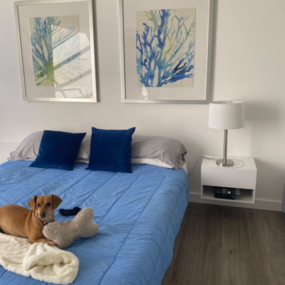 MebleFurniture's tweet image. Elevate your nightstand game... and yes, pupper approved! 🐕✨

#bedroomdecor
#bedsidetable
#bedroomdesign