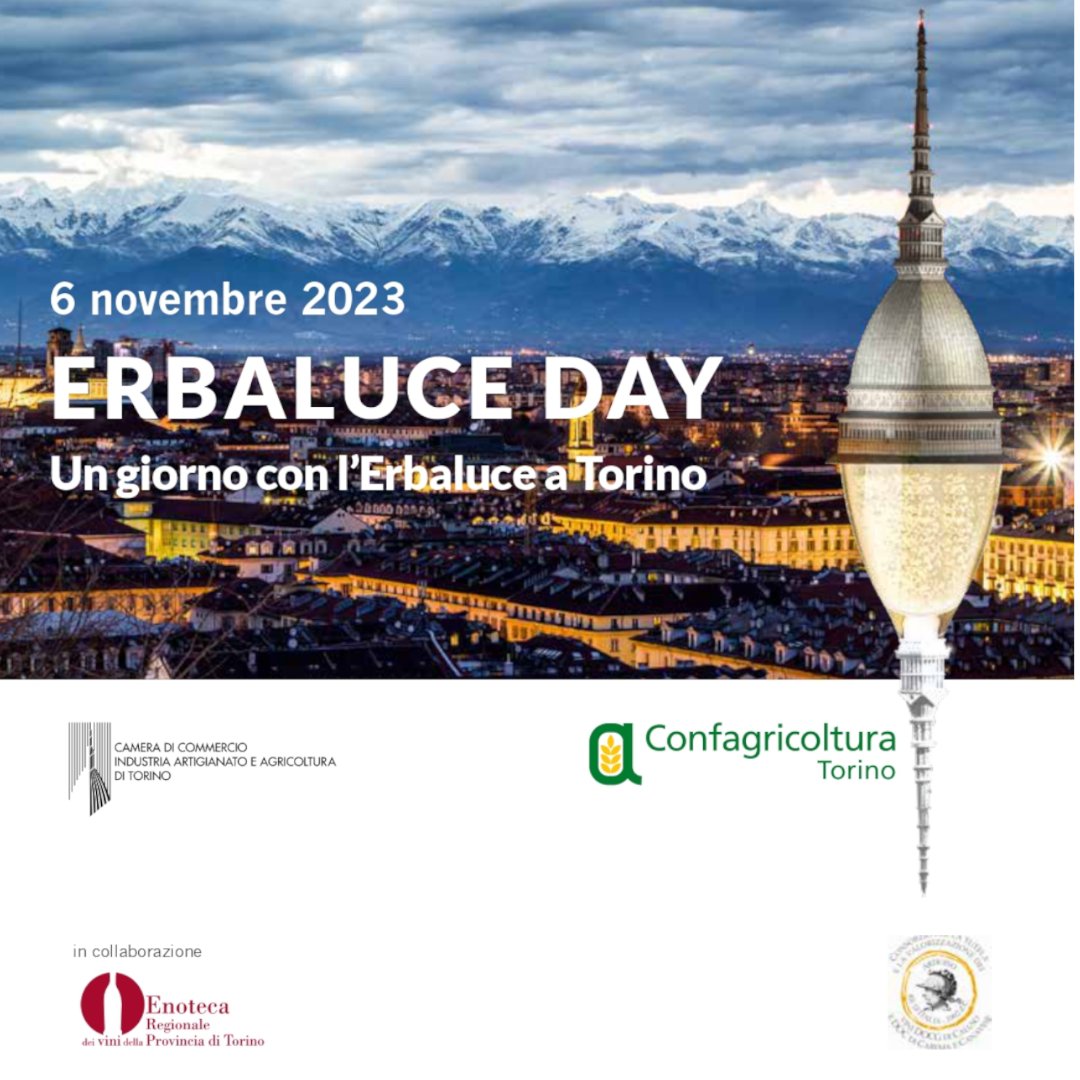 🥂 Erbaluce Day 2023: lunedì 6 novembre un giorno con l’#Erbaluce a Torino
🍇Il vitigno dell’anno sarà presente e protagonista a Portici Divini
👉Organizzato da Confagricoltura Torino con il contributo della <a href="/CamComTorino/">Camera Commercio TO</a> 
📲 confagricolturatorino.it/comunicati.asp…