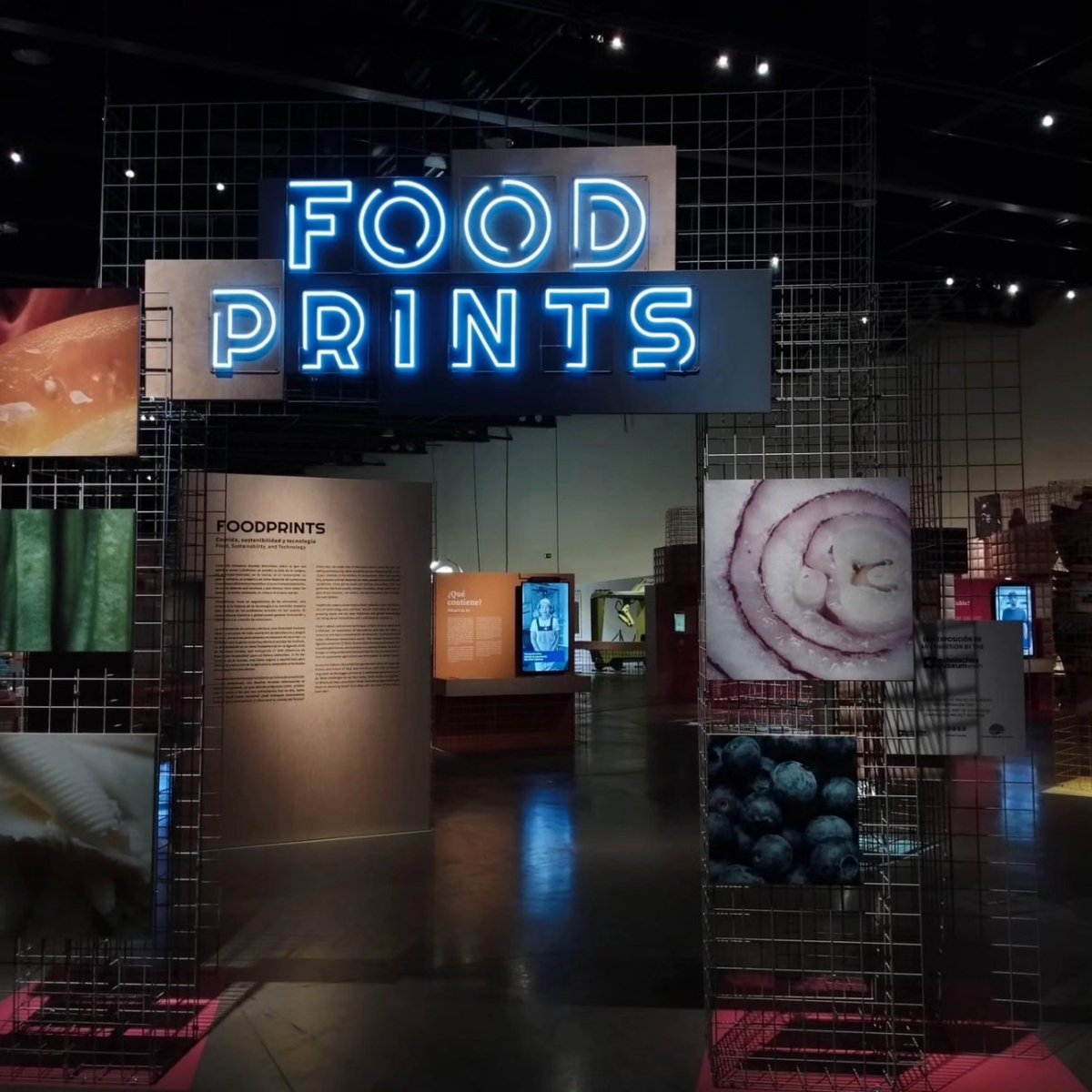 Hoy hemos estado en la inauguración de la exposición #FoodPrint del <a href="/ParqueCiencias/">Parque De las Ciencias</a> en la que colaboramos. Realizaremos varios talleres y actividades divulgativas relacionadas con los nuevos alimentos y la #sostenibilidad