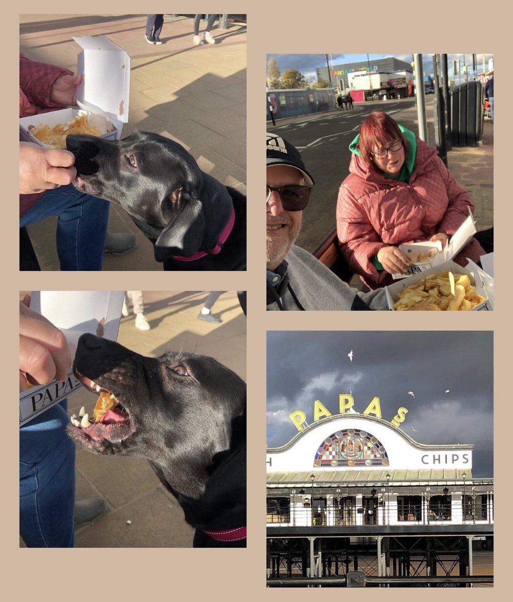 Got to have a chippy tea at the seaside <a href="/PapasFishNChips/">Papa's Fish & Chips®</a> #itsthelaw #pattieheaven #missdaphnesadventures #spoiltlab